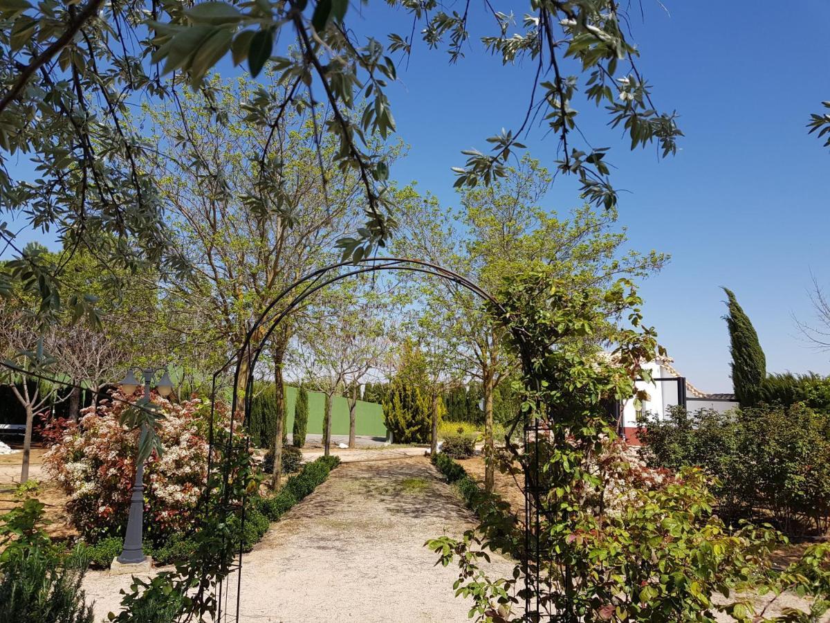 Casa Rural El Palomar Villa Pedro Munoz Exterior photo