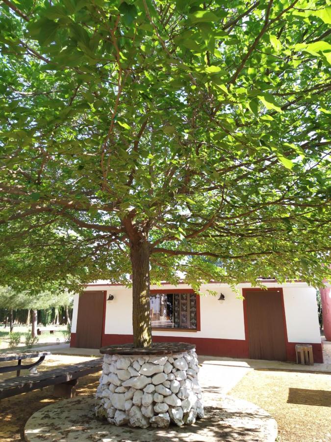 Casa Rural El Palomar Villa Pedro Munoz Exterior photo