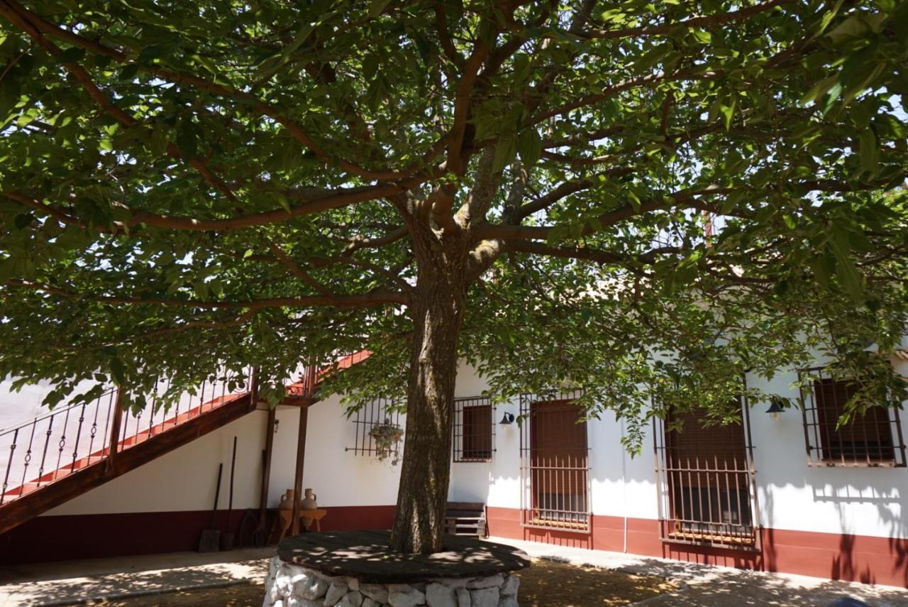 Casa Rural El Palomar Villa Pedro Munoz Exterior photo